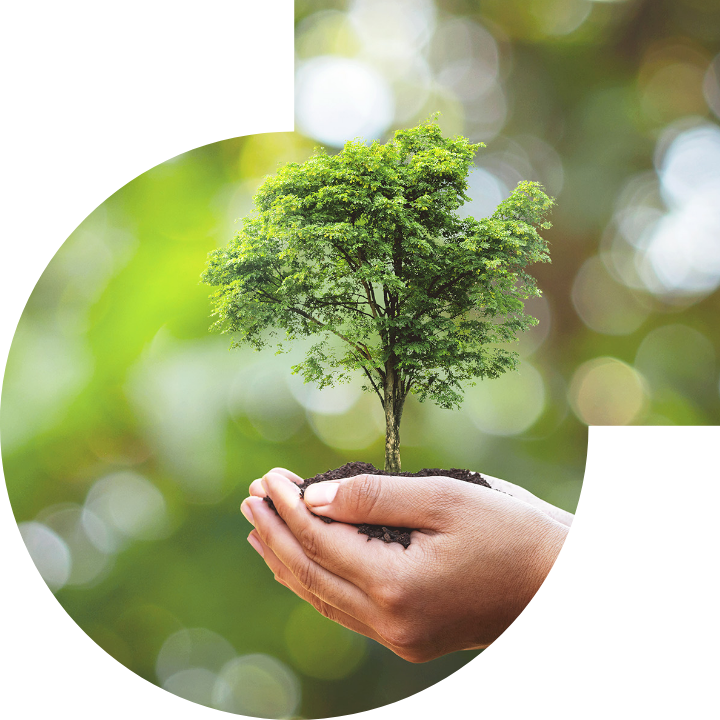 關懷人類、文化、環境與社會